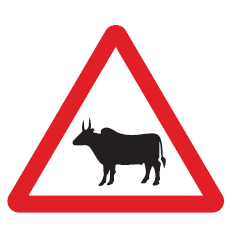 Warning Road Signs